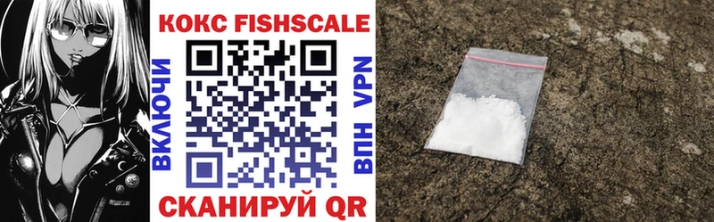блэк спрут маркетплейс  как найти закладки  Новотитаровская  Кокаин Fish Scale 